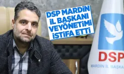 Mardin DSP'de il başkanı ve yönetimi istifa etti
