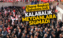 Şahmus Nasıroğlu Demokrat Partiden Adaylığını Açıkladı