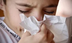 Bahar alerjisi nedir, en çok kimlerde görülür? Bahar alerjisiyle başa çıkmanın yolları neler?