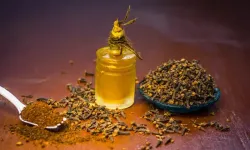 Doğal Yöntemlerle Karıncaları Evden Kovmanın Yolu