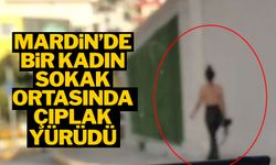 Mardin'de ŞOK görüntüler; bir kadın sokak ortasında çıplak yürüdü