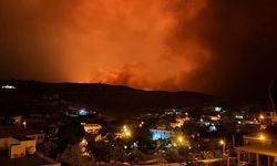 Mardin'in Mazıdağı İlçesinde Çıkan Yangın da 11 Ölü 78 Yaralı