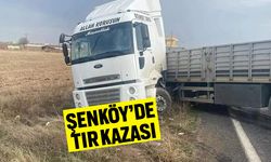 Midyat Şenköy'de TIR Kazası