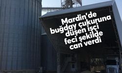 Mardin'de buğday çukuruna düşen işçi feci şekilde can verdi