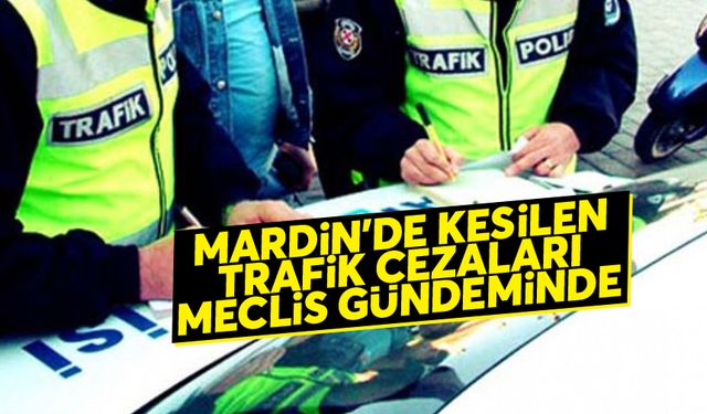 Mardin'de kesilen trafik cezaları Meclise taşındı