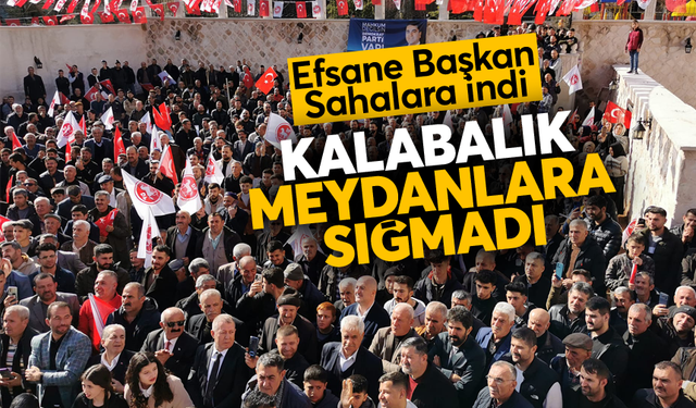 Şahmus Nasıroğlu Demokrat Partiden Adaylığını Açıkladı