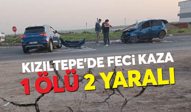 Kızıltepe Viranşehir  Karayolunda feci Kaza: 1 Ölü 2 Yaralı