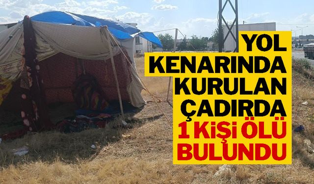 Mardin'de yol kenarına kurulan çadırda 1 kişi ölü bulundu